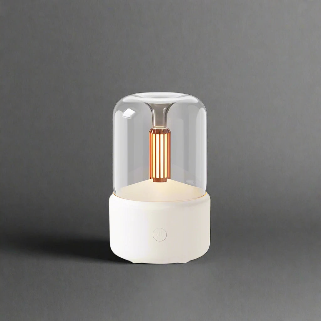 Bulb Humidifier 