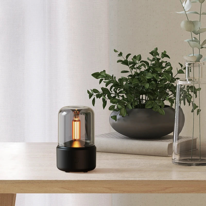 Bulb Humidifier 