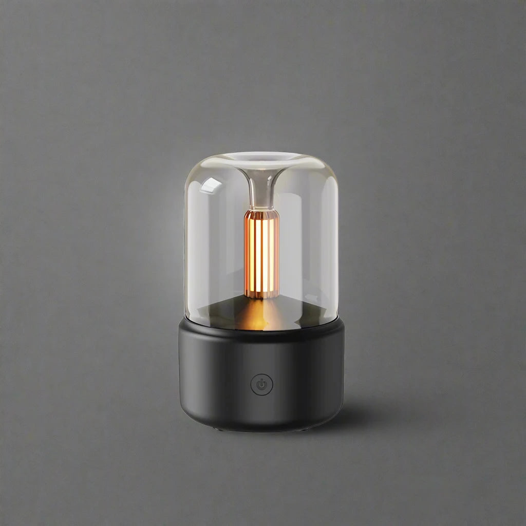 Bulb Humidifier 