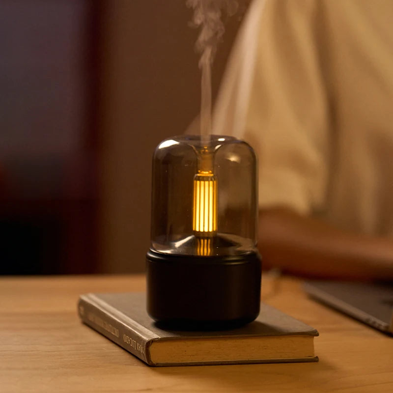 Bulb Humidifier 