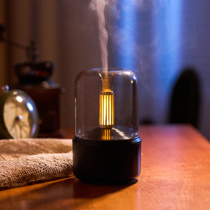 Bulb Humidifier 